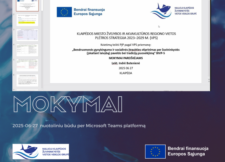 2025-06-27 vyko mokymai pareiškėjams pagal kvietimą Nr. BIVP-5 