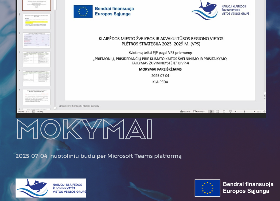 2025-07-04 vyko mokymai pareiškėjams pagal kvietimą Nr. BIVP-4 